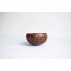 copy of Coconut bowl 'palm'